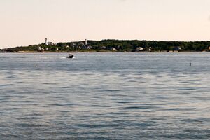 Gulf of maine whale watching 08.07.2012 23-25-55.jpg