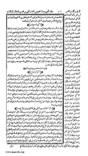 الصفحة التالية &larr;