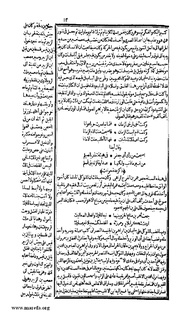 الصفحة التالية &larr;