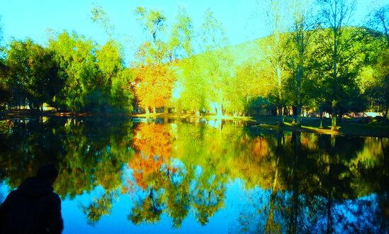 حديقة بإفران