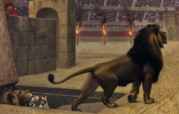 تفاصيل الوحش البرية.