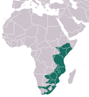 Vervet Monkey area.png