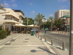 הרברט סמואל 2.jpg