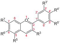 Basic structure of Anthocyans: The flavio-cation