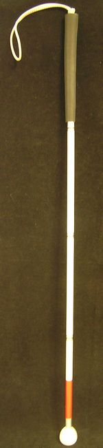 Long cane.jpg