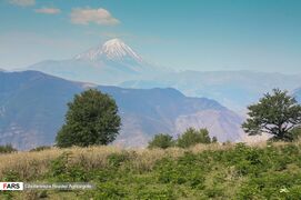 Caspian Hyrcanian Mixed Forests in Northern Iran 06.jpg