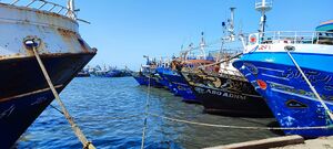 بوغاز بحيرة إدكو