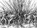 Swiss and Landsknecht pikemen fight at "push of pike" during the Italian Wars