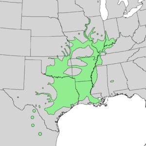 Carya illinoinensis range map 1.png