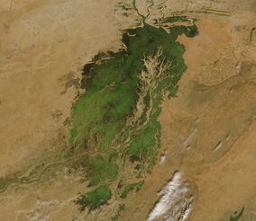 Inland Niger Delta 2007.jpg