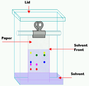 Chromatography tank.png