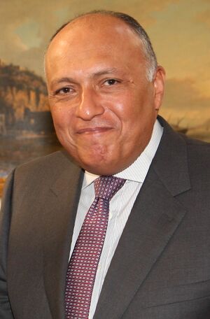 Sameh Shoukry 2014.jpg