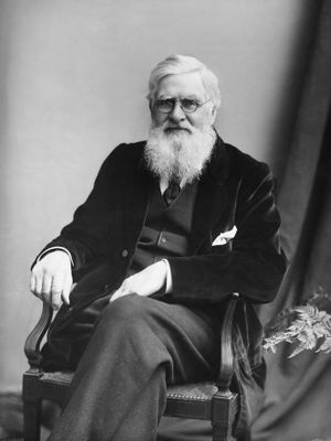 Alfred-Russel-Wallace-c1895.jpg