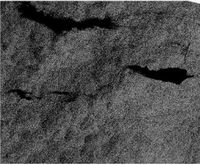 صورة بالقمر الصناعي لطقبات النفط الناتجة عن تسرب فقاعات الغاز المغطاة بالنفط؛ تتكون فقاعات الغاز نتيجة لنشاط البراكيين الطميية في قمع النيل، مصر.