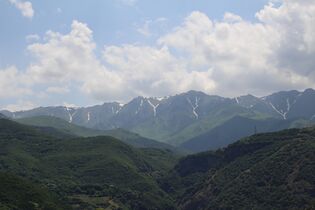 Վայրի բնություն-1 190.jpg