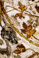 detail of Nabataen ceiling frescoes painted on plastered ceiling.