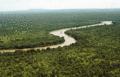 River Gambia flowing through Niokolo-Koba National Park, Senegal.