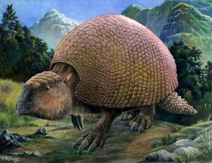 Glyptodon33.jpg