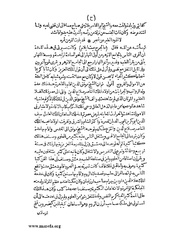 الصفحة التالية &larr;