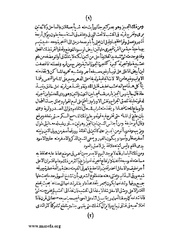 الصفحة التالية &larr;