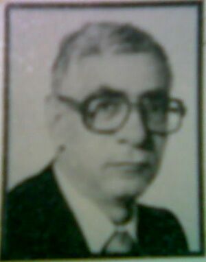 محمد جلال كشك.jpg