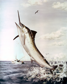 Marlin.png