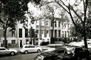 منازل في خليج السلاحف.