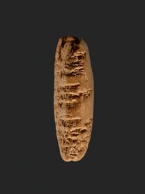 Amarna letter- Royal Letter from Ashur-uballit, the king of Assyria, to the king of Egypt MET 24.2.11 EGDP021807.jpg