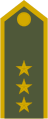 Plukovník[18] (Slovak Ground Forces)