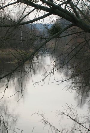 Wik 9 Police, rzeka Łarpia zimą.jpg