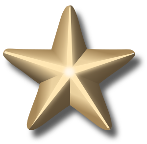 Award-star-gold-3d.svg