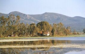 GM Parc national El Kala01.jpg