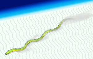 Gigantophis JWArtwork.png