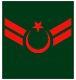 TR-Army-OR5a.svg