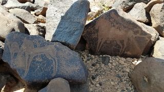 رسم حيوانات، من وادي سلمى.