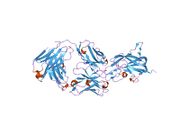 1iqd: Human Factor VIII C2 Domain complexed to human monoclonal BO2C11 Fab.