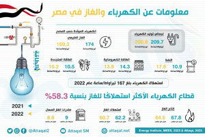 الكهرباء والغاز في مصر