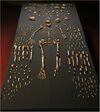 Homo naledi skeletal specimens.jpg