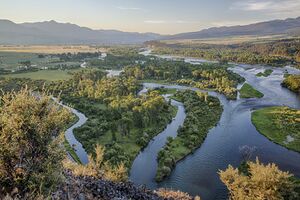 A river forms multiple channels as it winds through a forested floodplain in a wide valley