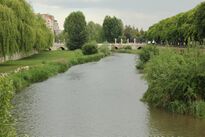 River Arlanzón in spring