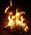 Firetora.jpg