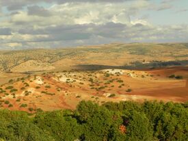 Nature khémisset.JPG