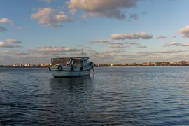 مركب في نيل رشيد.