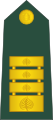 Polkovnik[19] (Slovenian Ground Force)