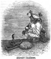 Serpent Charmers[15]