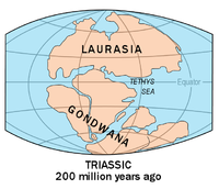 Laurasia-Gondwana.png