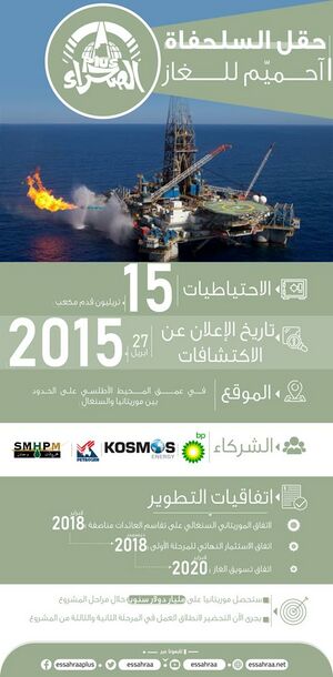 حقل السلحفاة / آحميم للغاز (إنفوغرافيك)