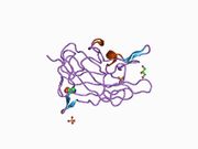 1d7p: Crystal structure of the c2 domain of human factor viii at 1.5 a resolution at 1.5 A