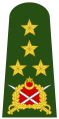 Orgeneral (Turkish Land Forces)