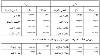 لغة برتغالية.jpg